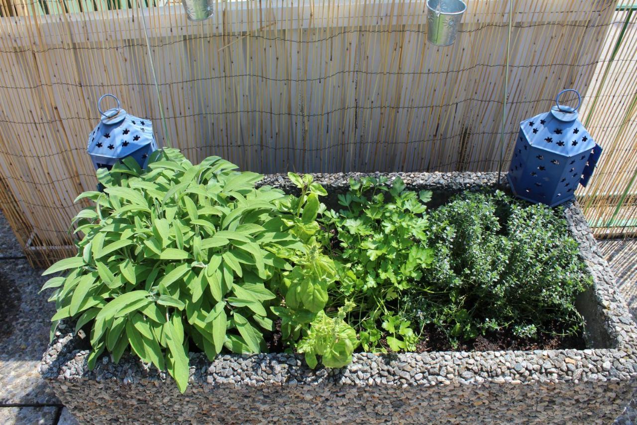 Appartamento Con Terrazza A Due Minuti Dal Lago Minusio エクステリア 写真